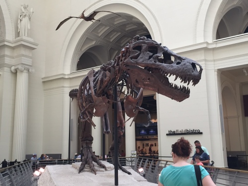 Meet SUE the T. Rex! You won't find anything like her anywhere else in the world.